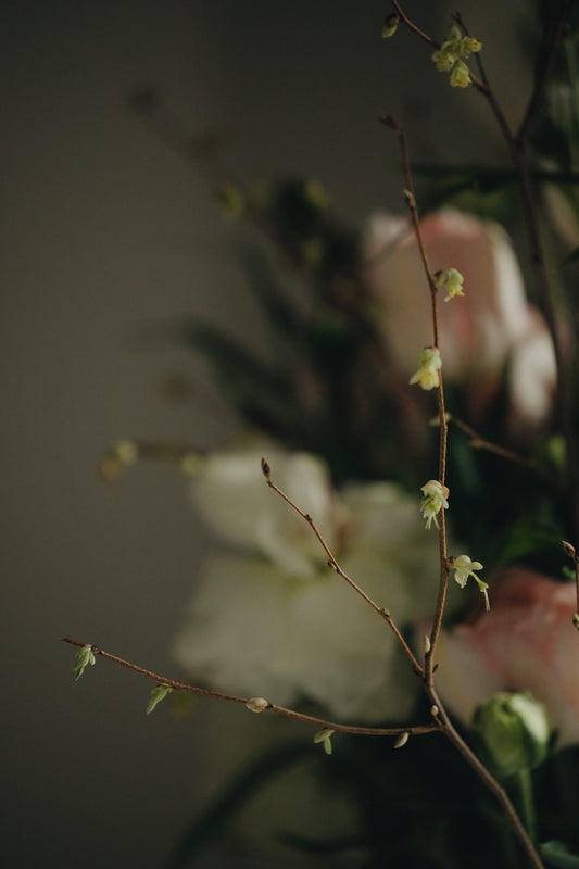 Dear Mom - Kvetka Flower