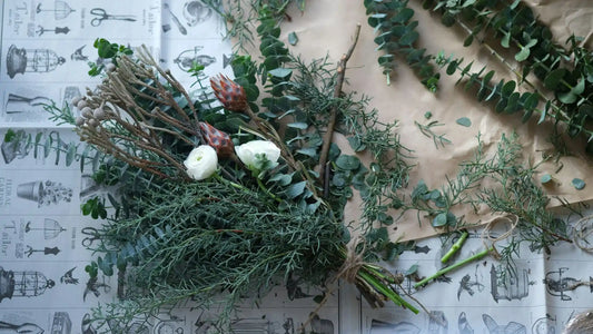 December Flowers in Oregon: Amaryllis, Winter Greens & Holiday Blooms