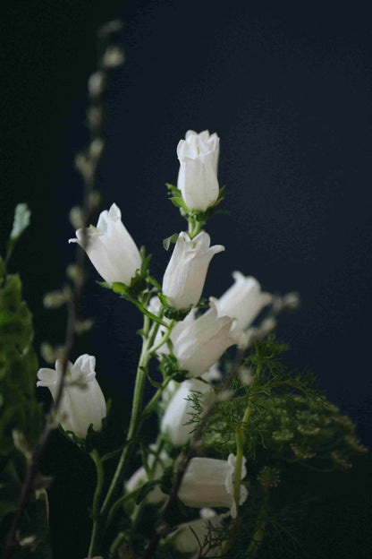 Campanula blooms in seasonal bouquet by Kvetka Flower – part of Deluxe Subscription Portland