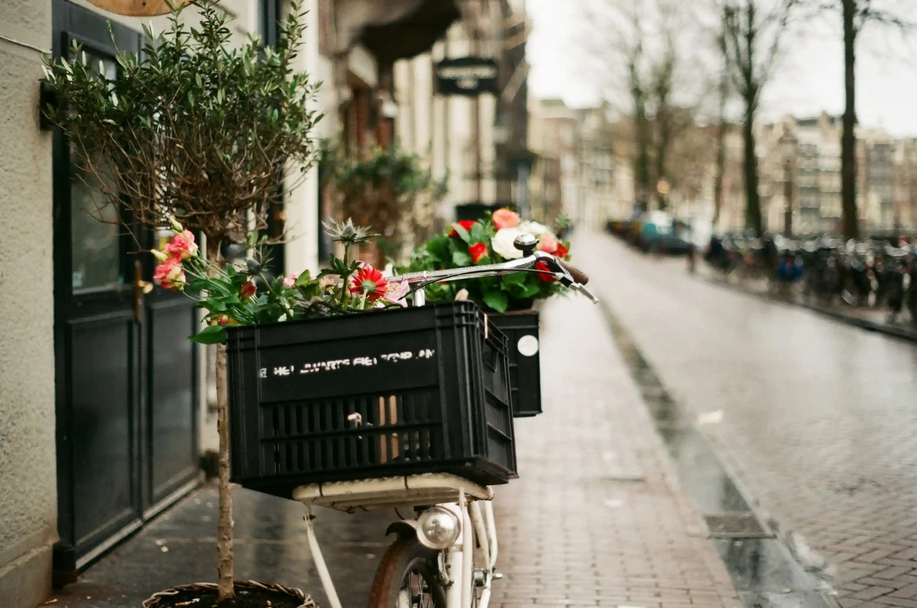Vintage bicycle with fresh flower basket on a European-style street — same-day flower delivery in Portland by Kvetka Flower