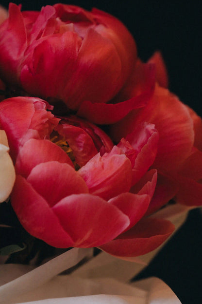 Peony bouquet in mono-style with coral and white peonies, arranged for summer delivery