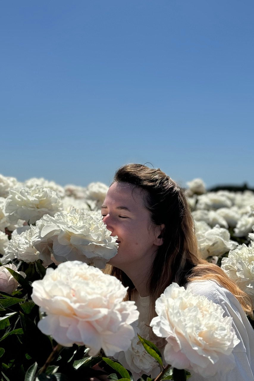 Woman smelling white peonies in a peony field at a local Oregon flower farm that supplies Kvetka Flower, Portland florist
